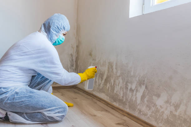 Mold Remediation specialist working in Boynton Beach