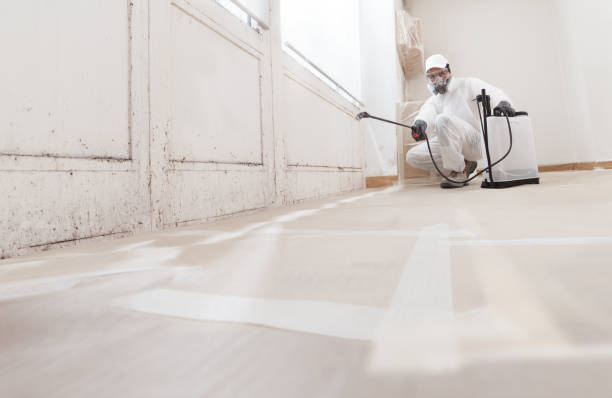 Black mold remediation team in Boynton Beach